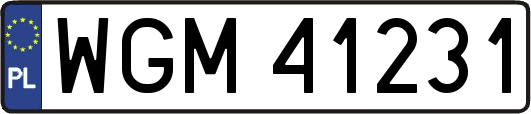 WGM41231
