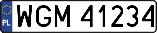 WGM41234