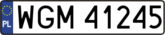 WGM41245
