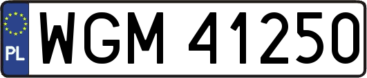 WGM41250