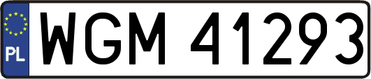 WGM41293
