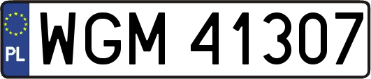 WGM41307