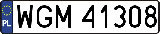 WGM41308
