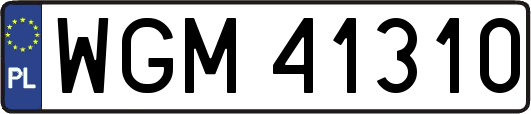WGM41310