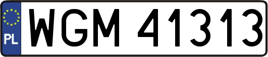 WGM41313