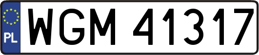 WGM41317