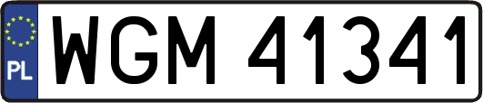 WGM41341