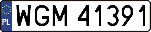 WGM41391