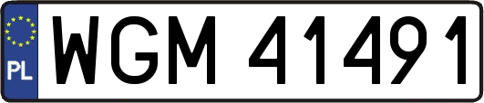 WGM41491