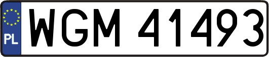 WGM41493