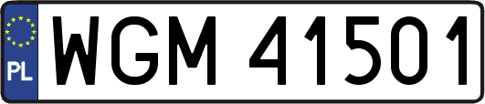 WGM41501