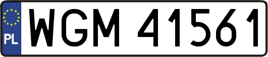 WGM41561