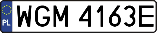 WGM4163E