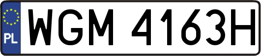 WGM4163H