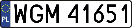 WGM41651