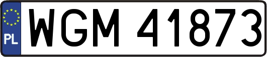 WGM41873