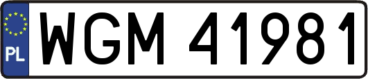 WGM41981