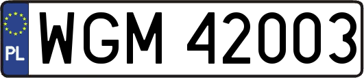 WGM42003