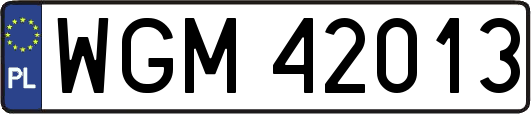 WGM42013