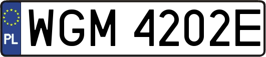 WGM4202E