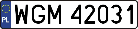 WGM42031