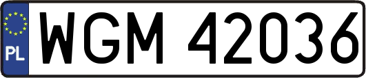 WGM42036