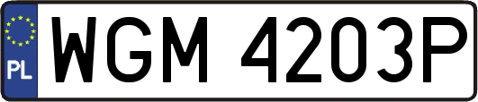 WGM4203P