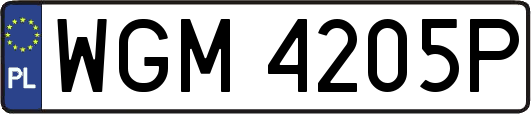 WGM4205P
