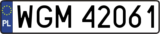 WGM42061