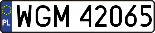 WGM42065