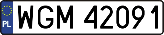 WGM42091