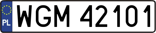 WGM42101