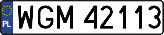 WGM42113