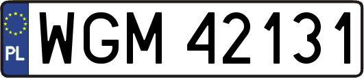 WGM42131