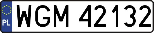 WGM42132