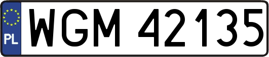 WGM42135