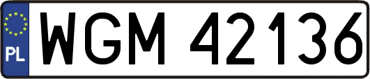 WGM42136