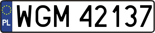 WGM42137