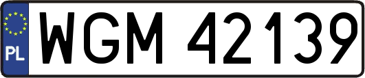 WGM42139