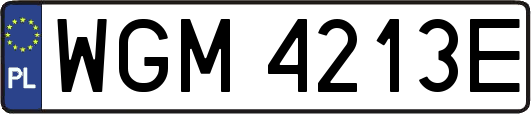 WGM4213E