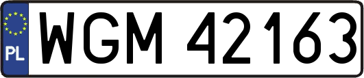 WGM42163