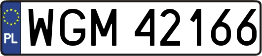 WGM42166