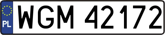 WGM42172