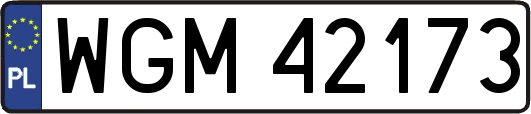 WGM42173