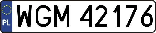 WGM42176
