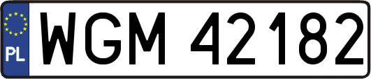 WGM42182