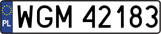 WGM42183