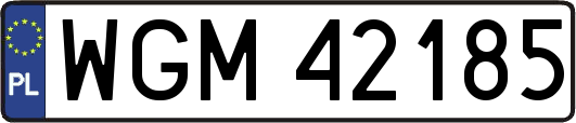 WGM42185