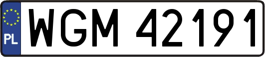 WGM42191