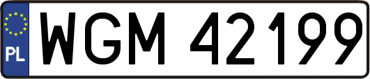 WGM42199